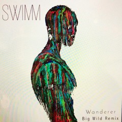 SWIMM - Wanderer (Big Wild Remix)