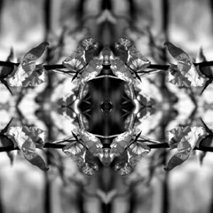 Dark void