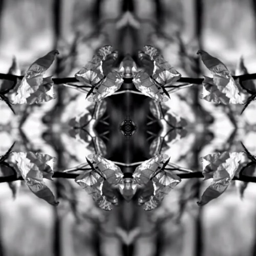 Dark void
