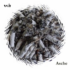 swing the tech-fool (fooled instrumental)