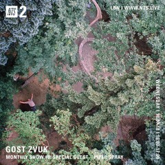 GOST ZVUK x NTS monthly show #8 w/ Piper Spray