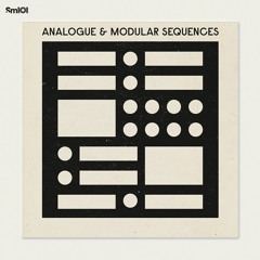SM101 - Analogue & Modular Sequences - Full Demo 2