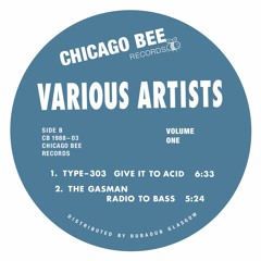 Type-303, Give It To Acid, Chicago Bee 003 , Various Artists