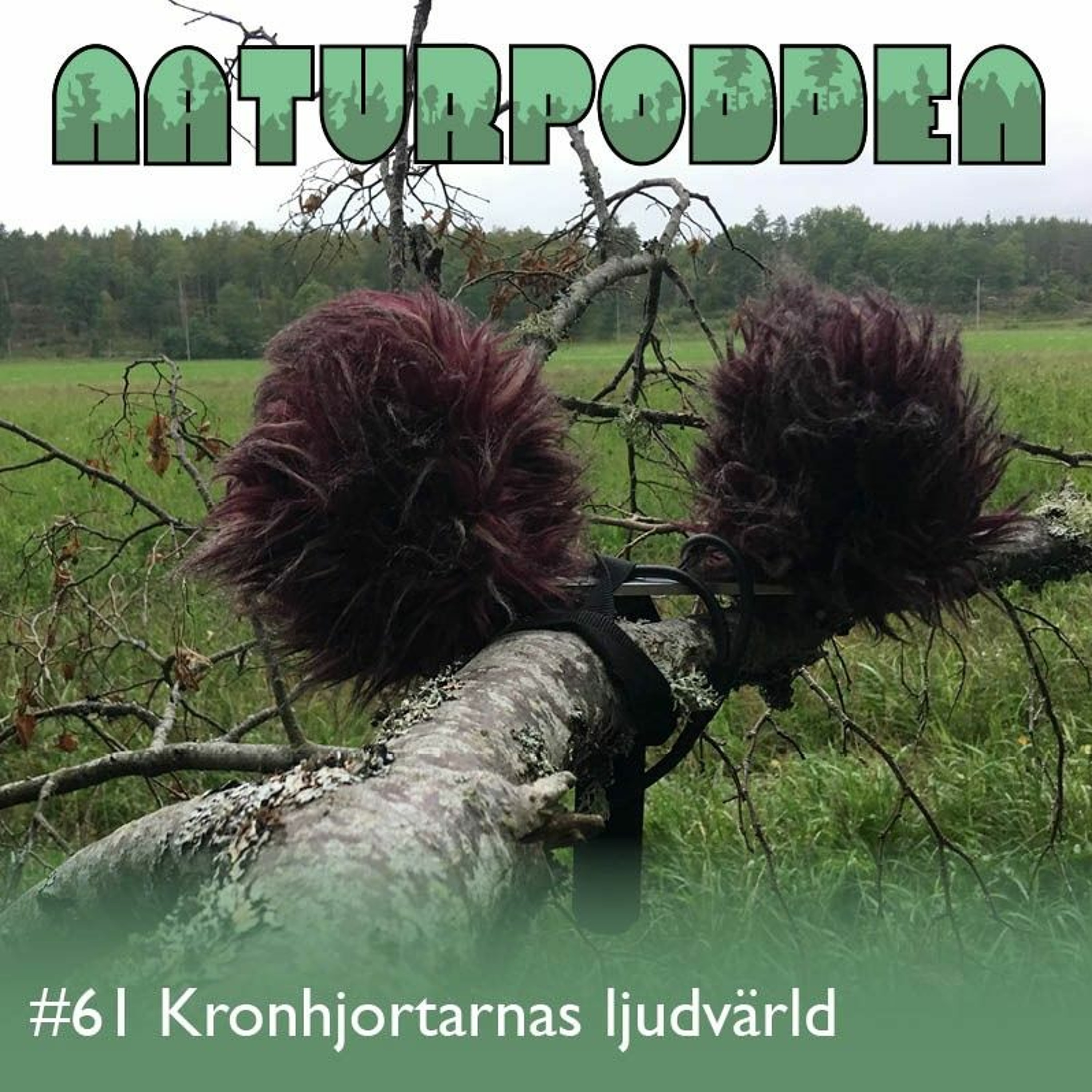 Naturpodden - Producerad av Biotopia