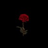 Drake Peak Paris Morton Music Unthinkable Cover Mp3