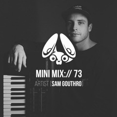 Stereofox Mini Mix://73 - Artist [Sam Gouthro]