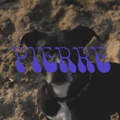Pierre