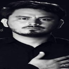 ASGHAR DI SHUJAAT TUN | Tahir Baltistani | New Punjabi Noha 2018-19 | Muharram 1440H Nohay |