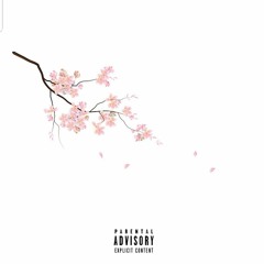 Blossom Ft THIIRDWAVE (Prod. Origami Beats)