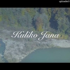 Kuliko Jana (THS Rmx)