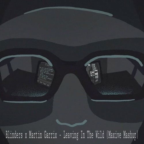 Leaving In The Wild (Maxive Mashup) - Blinders x Martin Garrix