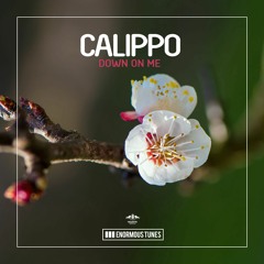Calippo - Down On Me (Organ Pleasure Edit)