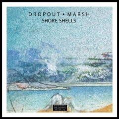 Dropout Marsh - Shore Shells