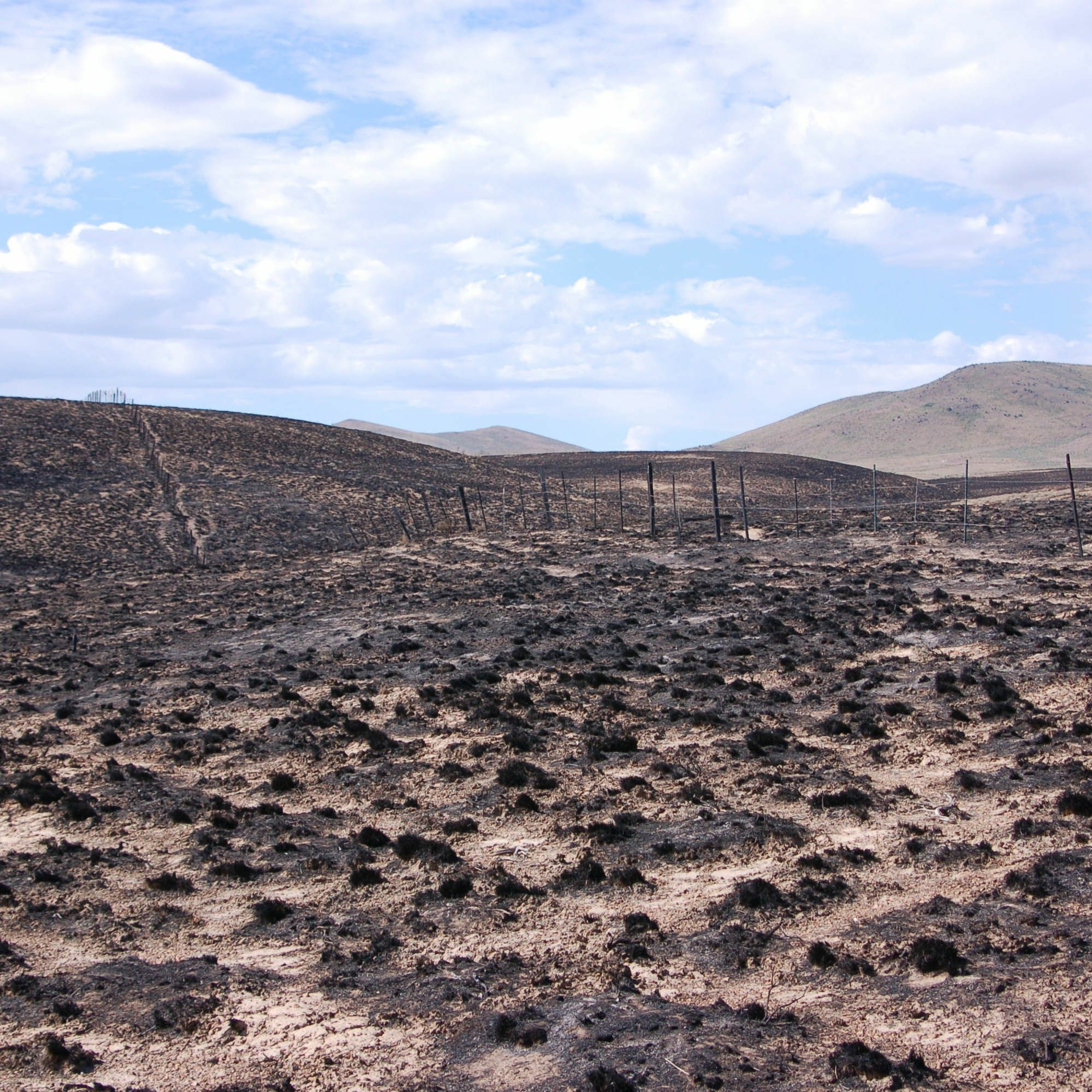 NDOW presents the Nevada Wild Podcast