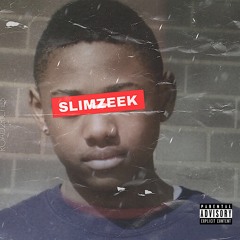Slim Zeek - Changes Mp3