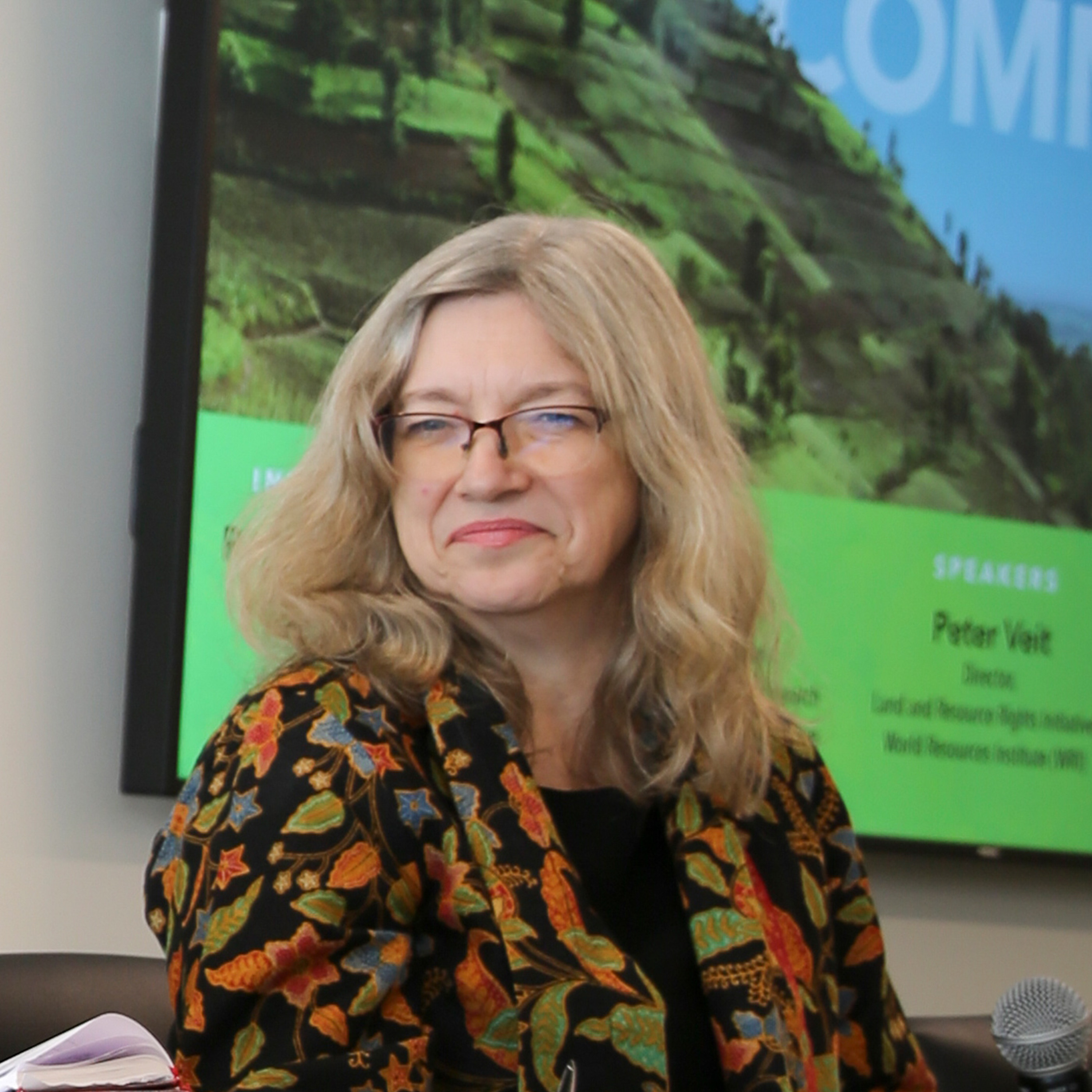 IFPRI Policy Seminar: The Future of the Commons - 10/4/2018 - RMeinzen-Dick episode artwork