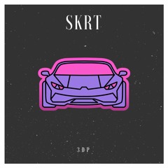 3DP- SKRT