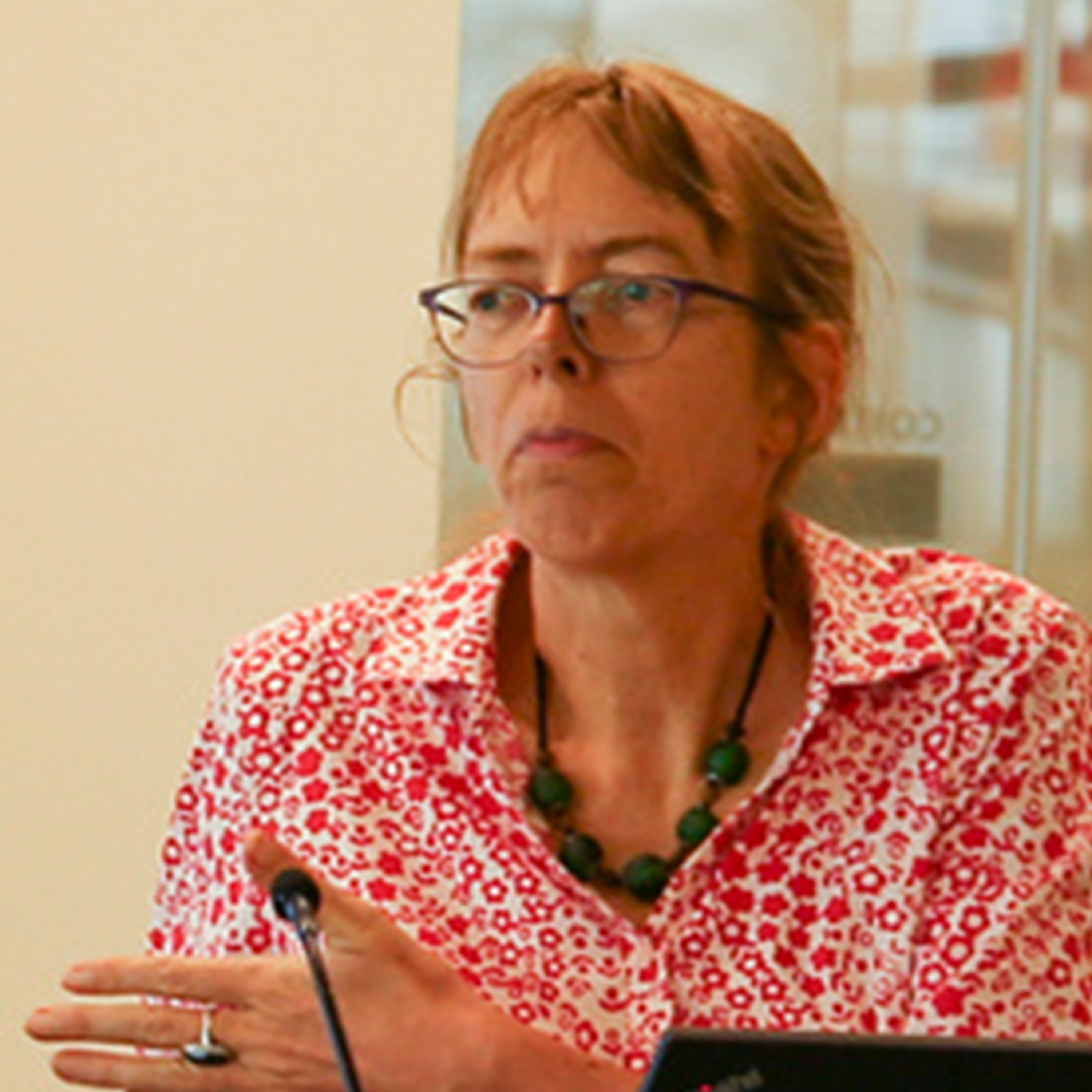 IFPRI Policy Seminar: The Future of the Commons - 10/4/2018 - THilhorst episode artwork