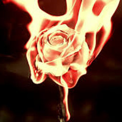 My Song (Rose Petals)