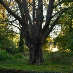 Somebody Made For Me (Emitt Rhodes) by Robyn & Tosh