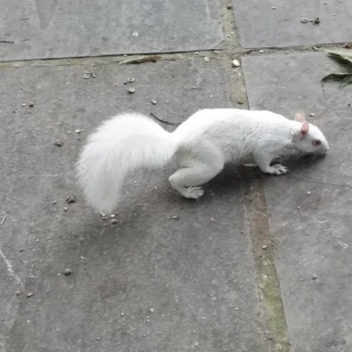 Knight Ali - Washed Up (2017)