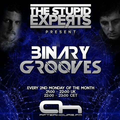 The Stupid Experts - Binary Grooves 008