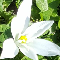 don't let anyone ever tell you that your tears were in vain (excerpt)