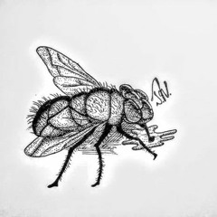 AReO - Boom Bap Kid (Instrumental)