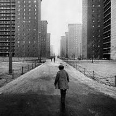 TAYDAMANE + ROBERT TAYLOR PROJECTS