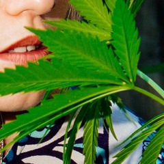 Flex Up ft. iceboyadv (prod. Xanpiir) (Lil-Uzi Lil Tracy "Like a Farmer Remix")