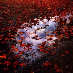 never change prod. yung sapp