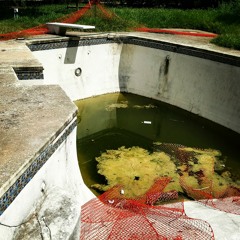 I HAD A DREAM AND IT REALLY WASN'T SO BAD