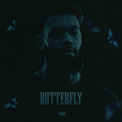 Intro To Butterfly