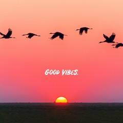 Good Vibes. (Elevator Mix) – Sailey Bimrell