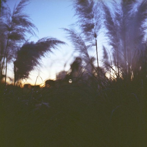 TRANSIENCE #11 with Valentino Mora