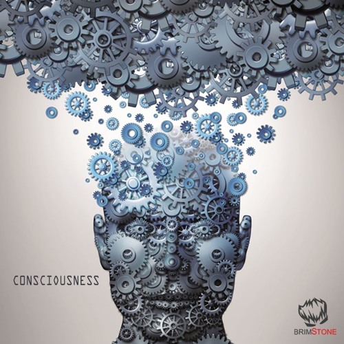 Consciousness