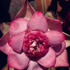 Ganesh Vandana !