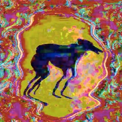 I Enjoy Thinking About Stuff I Like