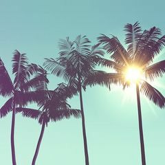 A Bell X SVNSET - Good Life ft. CashoutEd x CashoutJai x J Glizzy