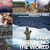 Artwork for Memento Mori - Stop Breaking The World(by Arno Wild)PSYFEATURE FREEDOWNLOAD