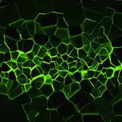 beat that i put on youtube