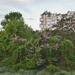 Crimea 2018 - Sevastopol song of the Nightingale