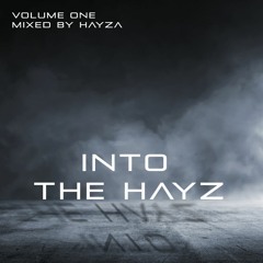 Into the Hayz - Volume One