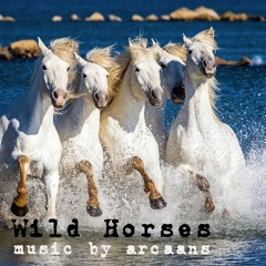 Wild Horses