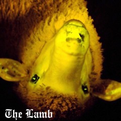 The Lamb