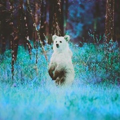 oDDgoD Ft. Jay Wolfe (prod. Gum$)