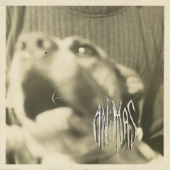 Dirty South (Fuck The Feds)