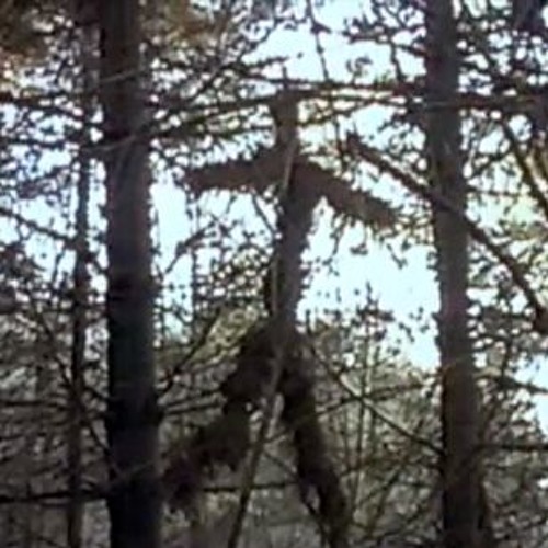 the blair witch project 1999 stream the blair witch project 1999 stream