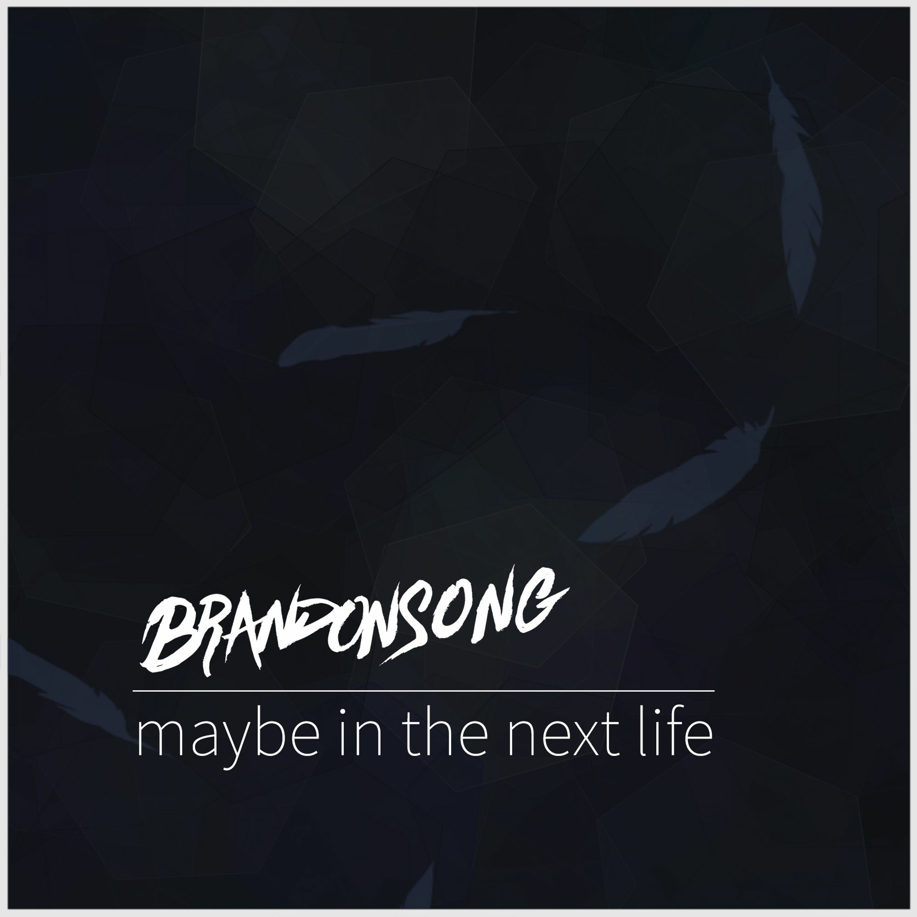 Maybe In The Next Life episode artwork