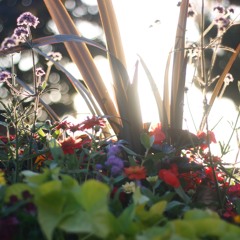 i miss you when it rains